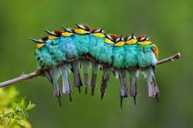 FALL AND WINTER COLORS FALL AND WINTER COLORS