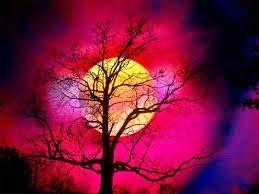 FALL AND WINTER COLORS FALL AND WINTER COLORS