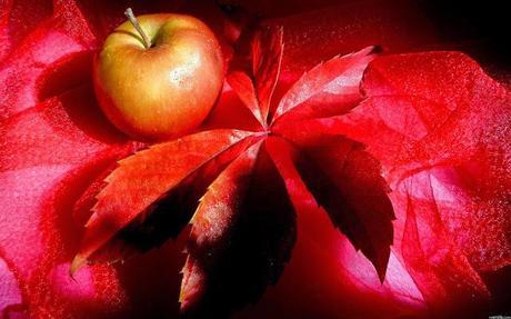 FALL AND WINTER COLORS FALL AND WINTER COLORS