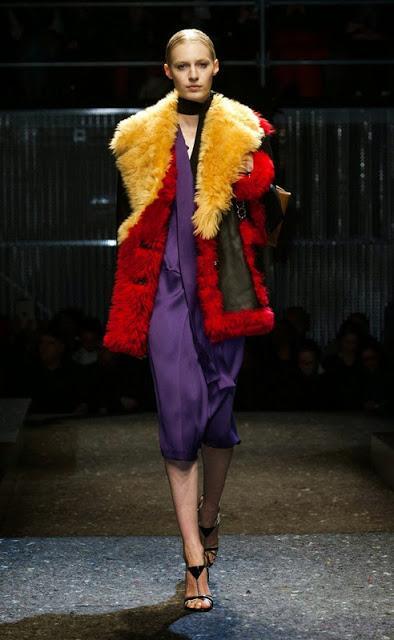 FALL AND WINTER COLORS FALL AND WINTER COLORS