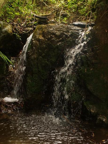 Vertientes de Landapo, ¿agua para todos?