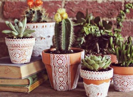 Decoración con flores: un toque especial Cactus