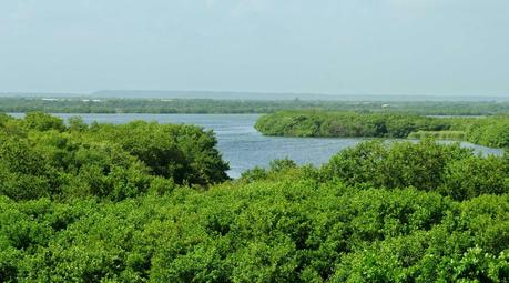 Recomiendan capacitar población sobre Medio Ambiente