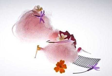 1412970910_910685_1412972342_noticia_normal