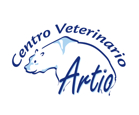 La Völva:Los Cuervos en Islandia