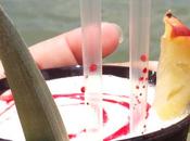 sabores gustan Margarita