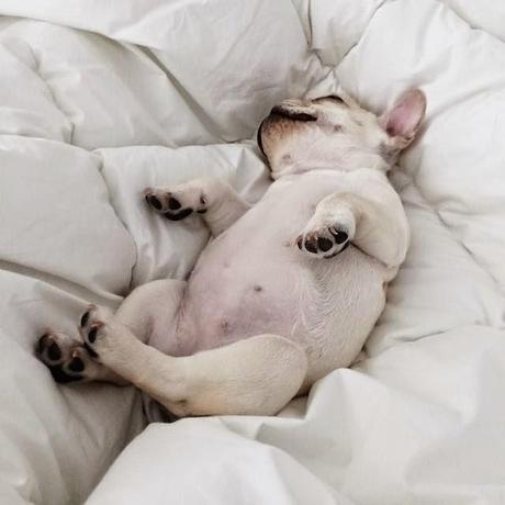 Entretanto entretiempo