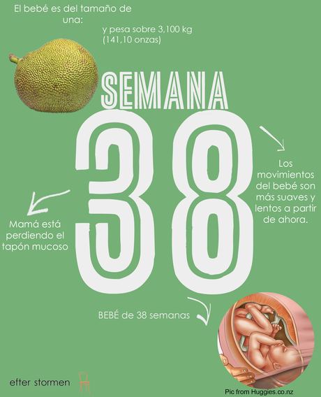 Semana 38 Embarazo | Week 38 Pregnancy