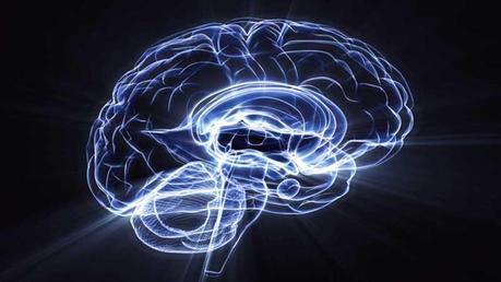 10 Datos curiosos sobre el cerebro