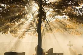 Soñar con un funeral y su significado. sueño con funeral