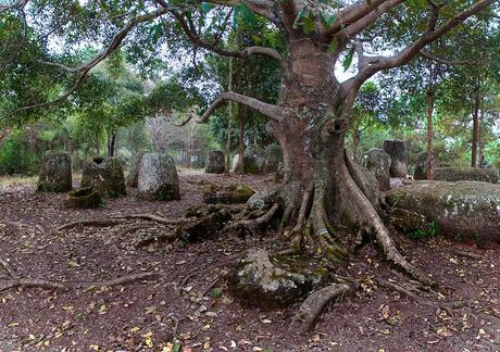 PANORÁMICAS DE ASIA; INDIA, NEPAL, TAILANDIA, LAOS Y CAMBOYA II