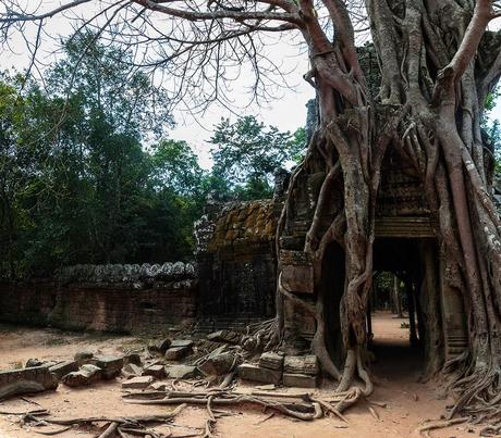 PANORÁMICAS DE ASIA; INDIA, NEPAL, TAILANDIA, LAOS Y CAMBOYA II