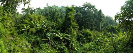 PANORÁMICAS DE ASIA; INDIA, NEPAL, TAILANDIA, LAOS Y CAMBOYA II