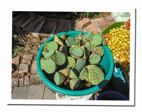 CURIOSIDADES DE TAILANDIA