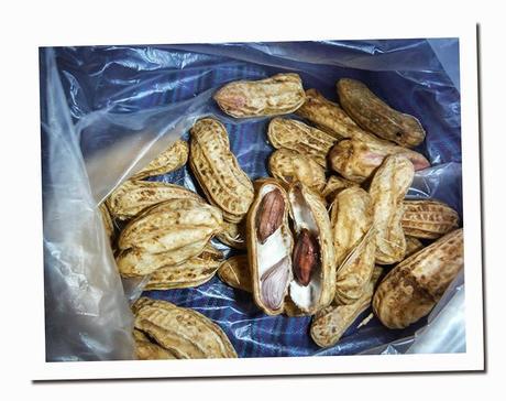 CURIOSIDADES DE TAILANDIA