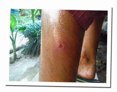 CURIOSIDADES DE TAILANDIA