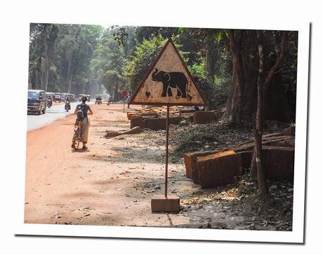 CURIOSIDADES DE TAILANDIA