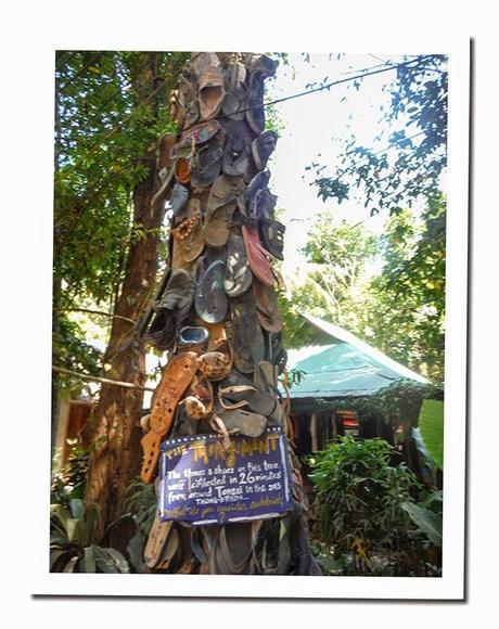 CURIOSIDADES DE TAILANDIA