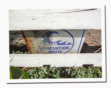 CURIOSIDADES DE TAILANDIA