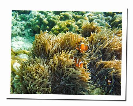 CURIOSIDADES DE TAILANDIA