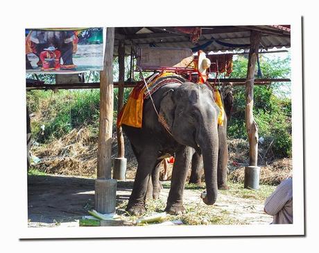 CURIOSIDADES DE TAILANDIA