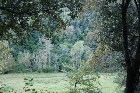 Otoño para pasear...interiormente (y II)