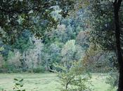 OTOÑO PARA PASEAR…INTERIORMENTE