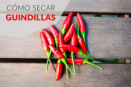 como secar guindillas