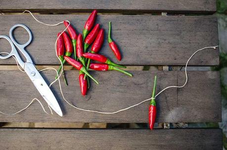 Cómo secar guindillas en 4 simples pasos