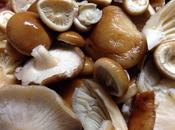 Arroz setas otoño. Proyecto Roca