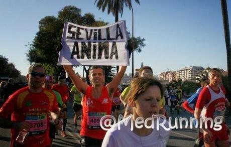 Camino a la Maratón Sevilla 2015 (En Directo)