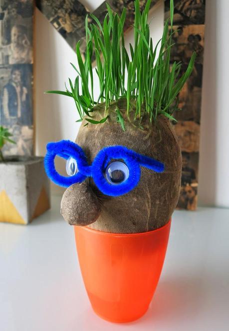 Manualidad y cuento el señor Hortiga hecho con tierra y semillas en media15