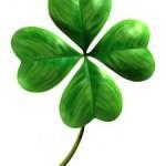 Para los que dicen tener mala suerte en la vida trebol-suerte