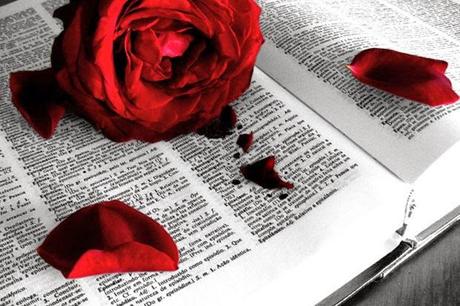 TEMA LIBRE A PROPUESTA DE LOS ASISTENTES