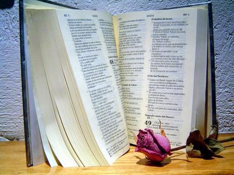 TEMA LIBRE A PROPUESTA DE LOS ASISTENTES