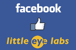 Facebook Little Eye Labs