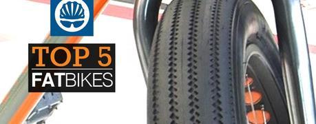Top 5 las mejores Fat Bikes