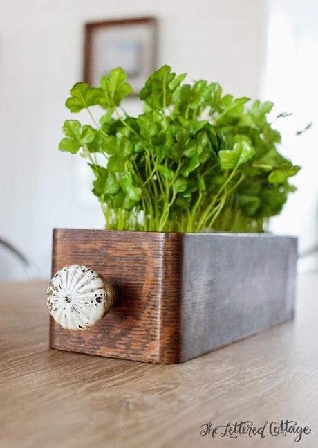 Cajones y plantas