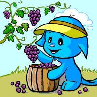c1c799_kacheek-picking-grapes+kacheek_picking_grapes