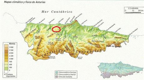 Bisbita alpino en Peñas