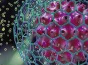 Transporte membrana (Osmosis)