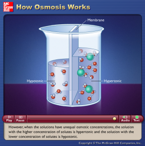 Transporte de membrana 1 (Osmosis)