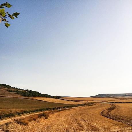 Camino de Santiago, etapa 13: Castrojeriz - Frómista. Tierra de Campos