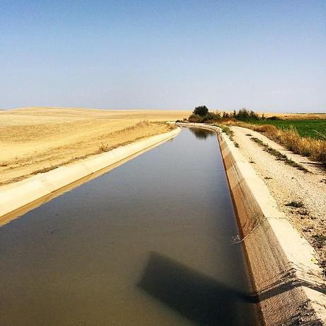 Camino de Santiago, etapa 13: Castrojeriz - Frómista. Tierra de Campos