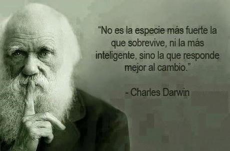 Tú a Boston, yo a arquitectura