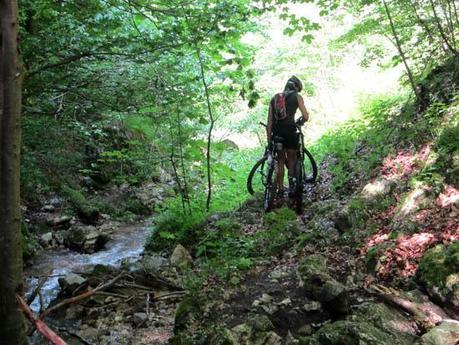 ¿Federarse o no federarse?