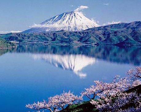 El viaje de Tanaka - David Cantero