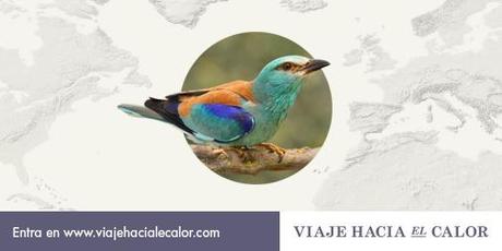 ¿Prefieres la carraca europea?