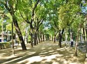 Avenida Líbano.