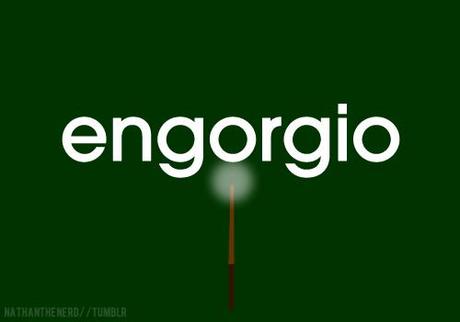   The Standard Book of SpellsEngorgioEN•GORE•JEE•OHThe Engorgement Charm causes objects to swell in size.